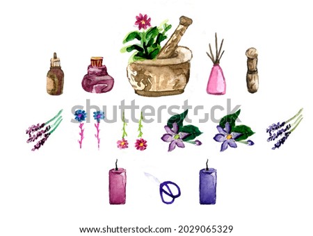 a large set of watercolor elements-aromatherapy,natural,flowers,aromaty objects Zdjęcia stock © 