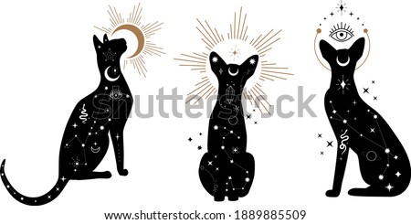 Set of black magical cats, Mystic Sphynx cat with crescent moon esoteric symbol, constellation, stars  magical elements. Magical cat,witchy black cat