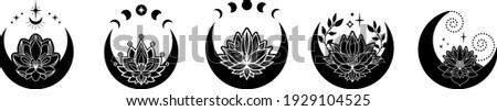 Set of Crescent moons with lotus flower, Flower Moon, Floral magic celestial clipart, Blooming Lotus Moon with Stars, Moon Phases