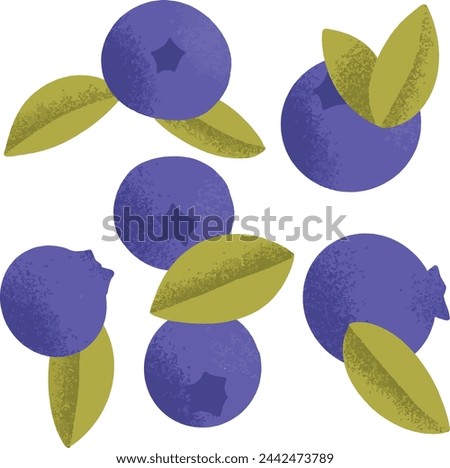 Similar – Image, Stock Photo Fresh organic blueberries in garden