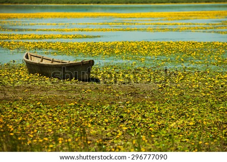 Boat in the grass on a pond.Abandoned rowing boat floating on algae in swamp land. Boat in swamp.