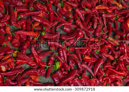 Heap Of Ripe Big Red Peppers.Red chili peppers, closeup view. Red peppers background.