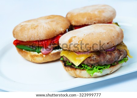 Fresh burgers in plate. Assorted delicious big hamburgers on white background. Set of  different burgers in plate.