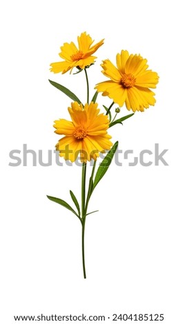 Similar – Foto Bild Strahlender Frühlingsstrauß bunter Blumen in einer Glasvase auf einem Gartentisch in der Nähe eines Holzzauns an einem sonnigen Tag