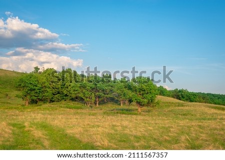 Green forest on the hill and blue sky.