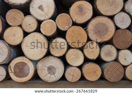 Pile of wood logs, cutting tree wooden logs background.