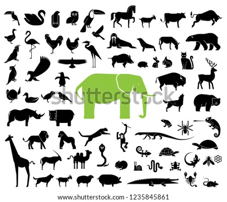 Large collection of geometrically stylized land animal icons. 
