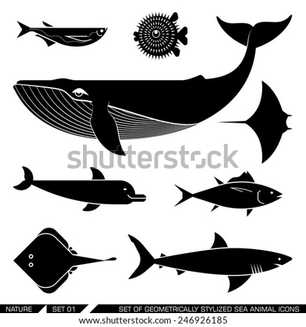 Set of various sea animal icons: whale, tuna, dolphin, shark, fish, rajiforme. Vector illustration.