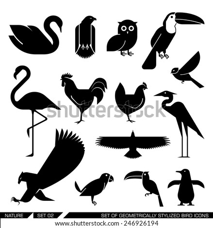 Set of various bird icons: swan, owl, eagle, rooster, flamingo, penguin, pelican, hen. Vector illustration.