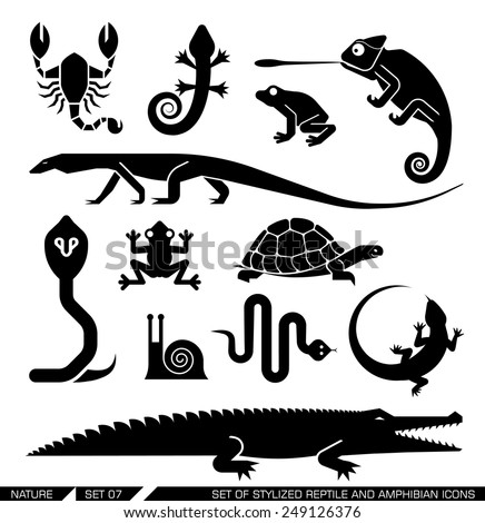 Set of various animal icons: scorpions, snakes, frogs, lizards, snails, crocodiles, turtles, cobra, chameleon, gecko  . Vector illustration.