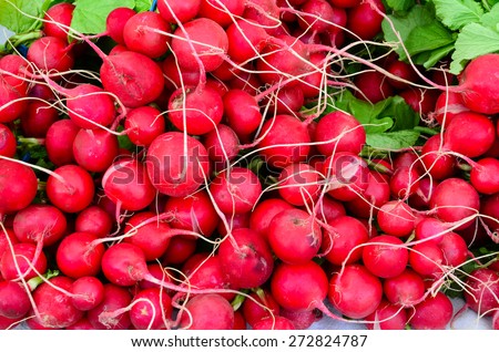 Radish bunches at Fruits and Vegetables stall in University District farmer market (aka U-district) in Seattle, WA, USA