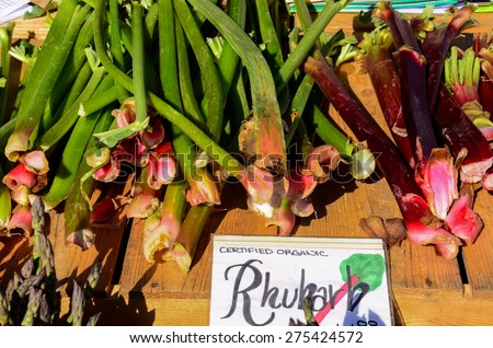 a bunches of certified organic rhubarb in the Fruits and Vegetables stall at University District farmer market (aka U-district) in Seattle, WA, USA