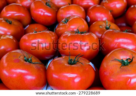 Group of fresh organically grown large tomatoes in the farmer market at Puyallup, Washington, USA. Full frame of group tomatoes.