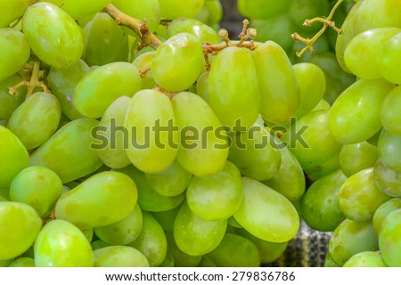 Group of fresh organically grown pristine green grapes in the farmer market at Puyallup, Washington, USA. A close up full frame of grapes.