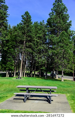 Roadside rest area with a picnic table and many of pine trees in background. A sunny day at a rest area next to the highway I-90 of Washington State, US.