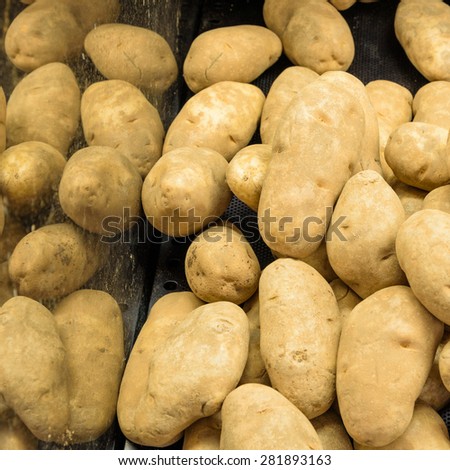 A heap of raw baking potatoes tubers in a supermarket at Colfax, Whitman County, Washington, USA. There is reflection of potatoes in the standÃ¢Â?Â?s wall.