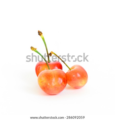 Three Rainier cherries on isolated white background. Rainiers are sweet cherries with a thin skin and thick creamy-yellow flesh.