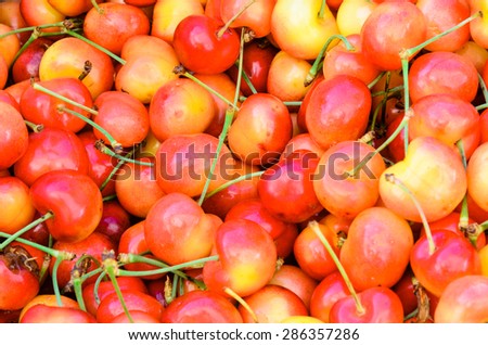 Group of Rainier cherries at Puyallup Farmer Market, Puyallup, Washington, USA. Rainiers are sweet cherries with a thin skin and thick creamy-yellow flesh. Panoramic style.