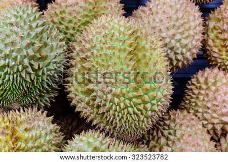 Close up, full frame view of group durian on display at the fruits stall in Bugis Village, Singapore. It is recognized by many people in southeast Asia as the \