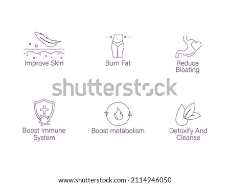 improve skin, burn fat, reduce bloating, boost immune system, boost metabolism, detoxify and cleanse icon set vector Foto stock © 