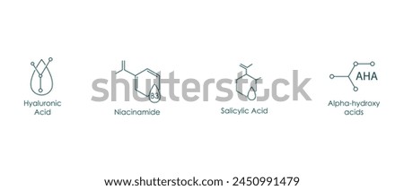 Hyaluronic Acid, Niacinamide, Salicylic Acid, AHA Vector Icons Set