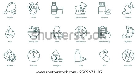 Comprehensive Wellness Vector Icons: Protein, Fruits, Water, Carbohydrates, Vitamins, Minerals, Calories, Dietary Fiber, Meat Metabolism, Meal Planning, Digestion, Nutrients, Omega-3, Dairy, Iron