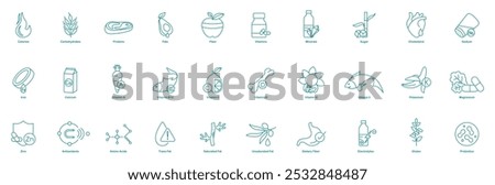 Calories, Carbohydrates, Proteins, Fats, Fiber, Vitamins, Minerals, Sugar, Cholesterol, Sodium, Iron, Calcium, Vitamins A, B12, C, D, E, Omega-3, Potassium, Magnesium, Zinc, Antioxidants vector icons