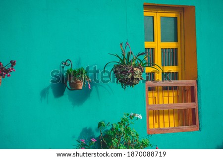 Traditional Colombian house very colorful and with plants outside Photo stock © 