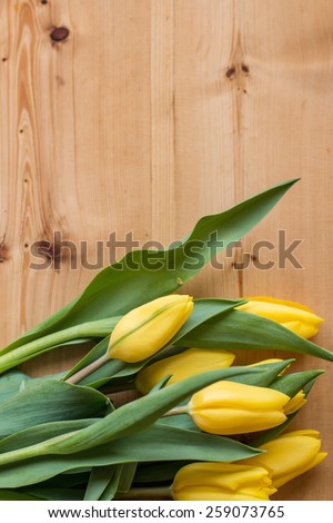 Spring tulips, national women's day, tulips