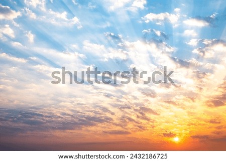 Similar – Image, Stock Photo In the morning between flowers on the roof terrace the older woman likes to stretch her legs far away from herself.
