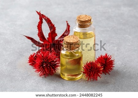 Similar – Image, Stock Photo castor oil plant Garden