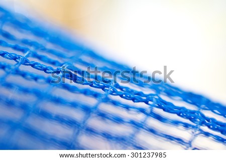 The blue mesh. Macro focus.