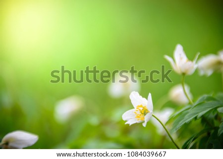 Shutterstock Puzzlepix