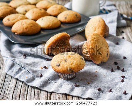 Homemade Chocolate Chip Mini Muffins Cupcakes in Paper Cup on Wood Vintage Background. Selective Focus.
