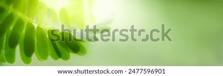 Similar – Image, Stock Photo Environment Nature