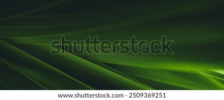 Image, Stock Photo Close up of Green Fern