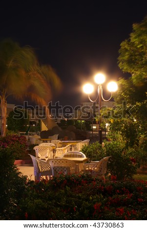 Summer cafe with palm and street lantern at night