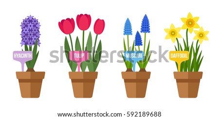 Vector set of potted spring flowers with labels. Flat style.