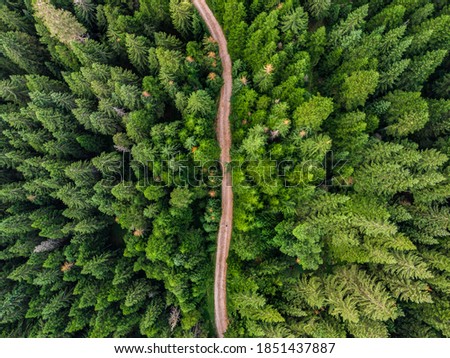 Similar – Image, Stock Photo Hiking trail through a beech forest