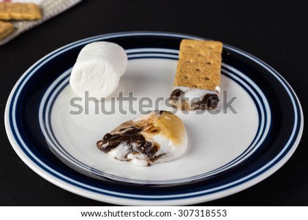 Close up of fresh s\'mores dip and crackers on a plate.