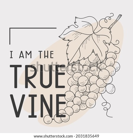 Grapes line art illustration with John 15:1 bible verse. Inspiring christian interior print or social media template.