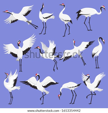 Similar – Image, Stock Photo Cranes in group flight in front of a blue sky with clouds