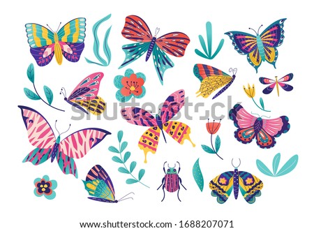 Butterfly moth insect vector illustration set. Cartoon insects collection with colorful flying butterflies group among spring grass or summer garden flower, flat beetle bug icons isolated on white