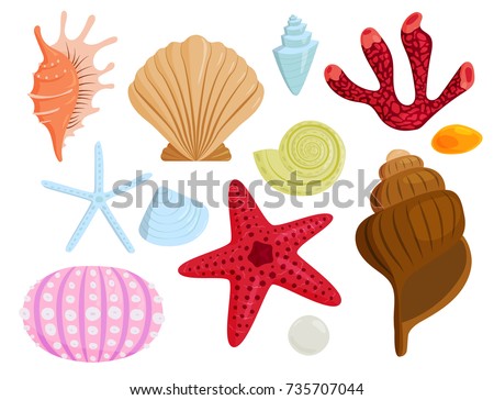 Sea shells marine cartoon clam-shell and ocean starfish coralline vector illustration