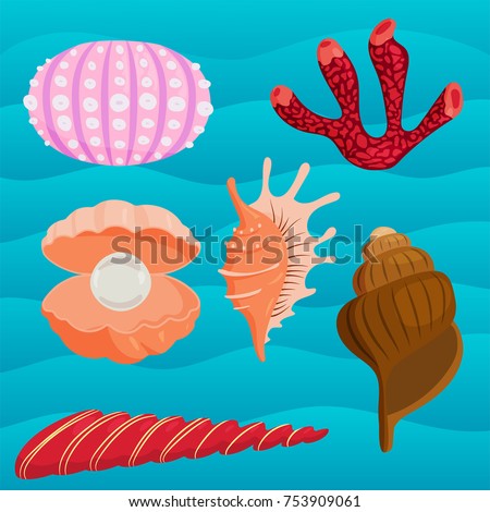 Sea shells marine cartoon clam-shell coralline and ocean starfish vector illustration.. Exotic snail aquarium beauty scallop nature seashell illustration