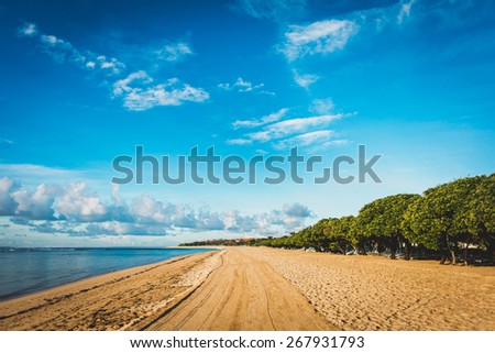 Perspective of yellow sand beach with blue sea from one side and green trees from the other side