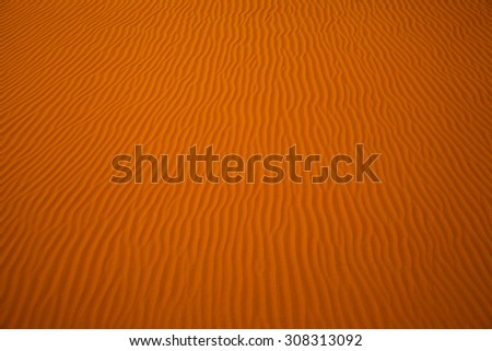 Wind created patterns in the sand dunes of Liwa oasis, United Arab Emirates