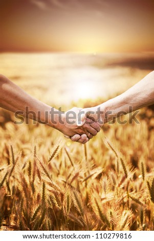 Two farmer\'s hands handshake at the harvest of wheat field.