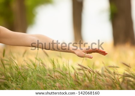 Hand in autumn grass.