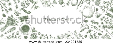 Organic Tea. Hand-drawn illustration of plants and objects. Ink. Vector